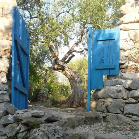 Holiday Lavender - Tranquility Trpanj